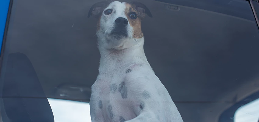 Car Lockout Solutions in Shafter, California