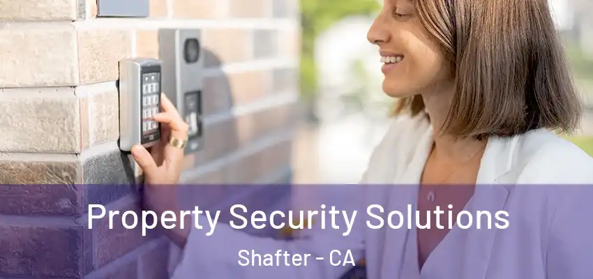  Property Security Solutions Shafter - CA